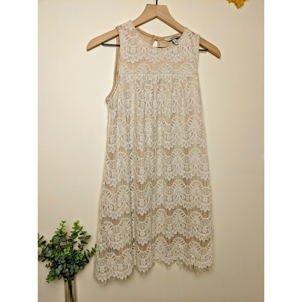 Speechless | Ivory and Nude Lace Dress
